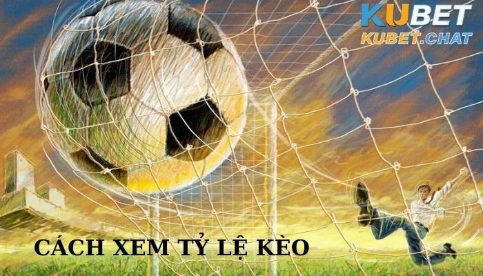 Cách xem tỷ lệ kèo